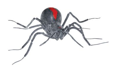 Gray Black Widow Spider - Decorations - Spirithalloween.com