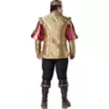 Renaissance Prince Plus Size Theatrical Costume at Spencer's