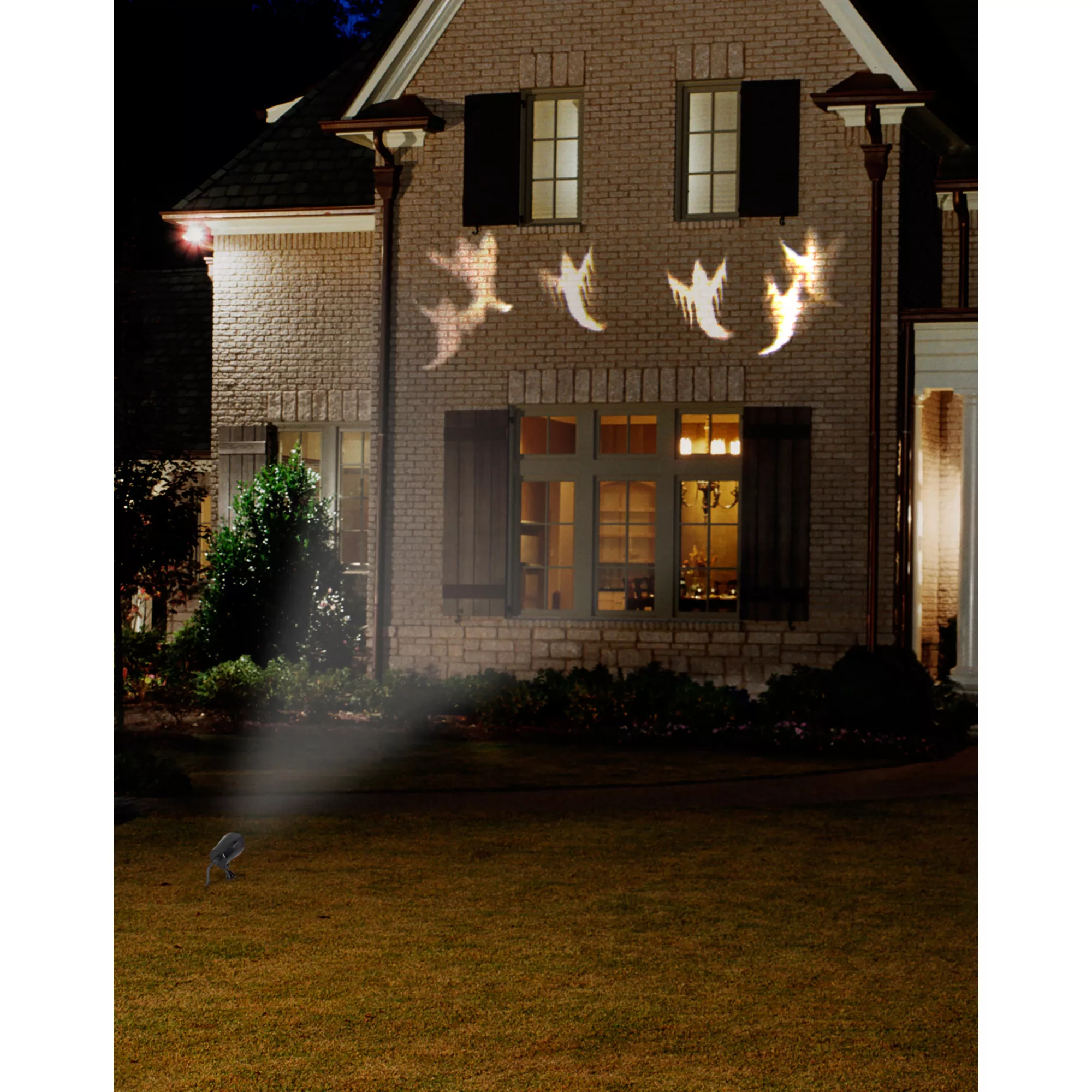 Whirl-A-Motion LED White Ghost Projection Spotlight at Spencer's