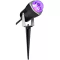 Purple Fire and Ice Spotlight at Spencer's