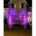 Purple Fire and Ice Spotlight at Spencer's