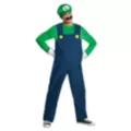 Adult Luigi Costume - Mario Bros at Spencer's