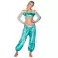 Jasmine Prestige Adult Womens Costume at Spirit Halloween