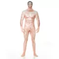 Naked Sexy Man Skin Suit at Spirit Halloween