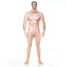 Naked Sexy Man Skin Suit at Spirit Halloween