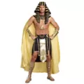 King of Egypt Mens Costume at Spirit Halloween
