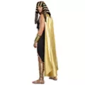 King of Egypt Mens Costume at Spirit Halloween