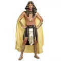 Adult King of Egypt Plus Size Costume at Spirit Halloween