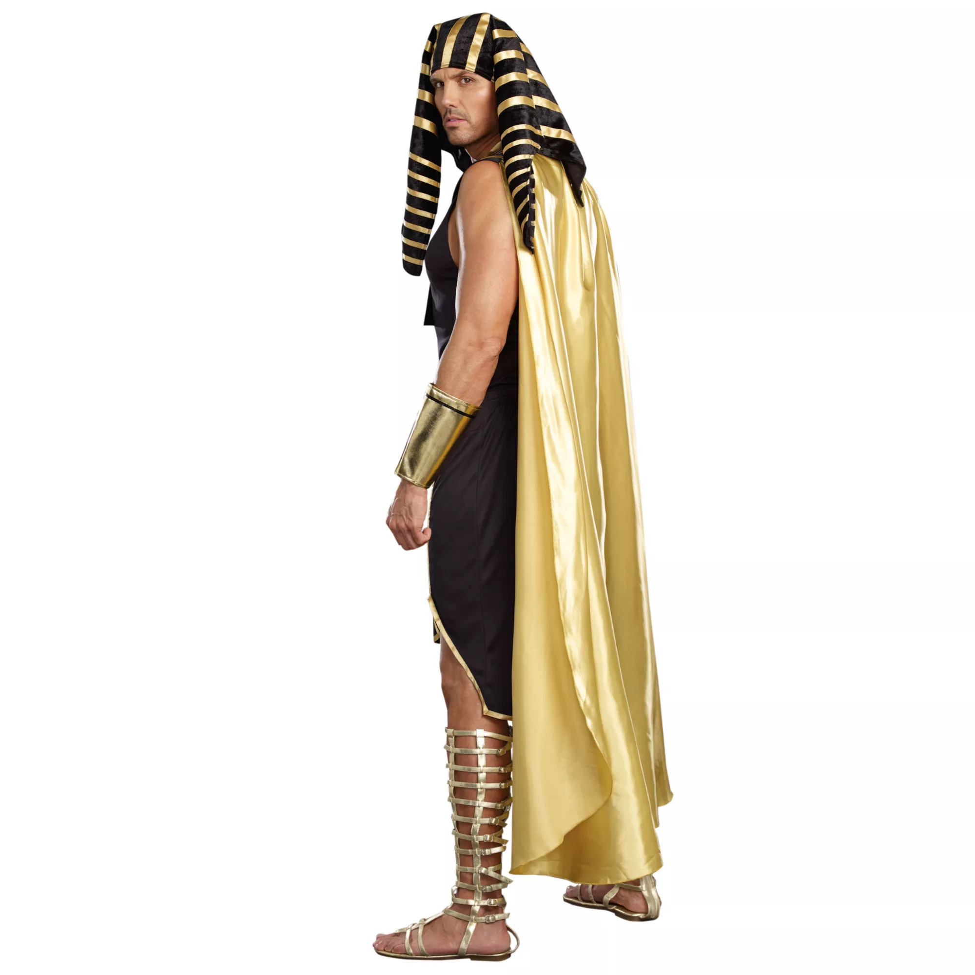 Adult King of Egypt Plus Size Costume at Spirit Halloween
