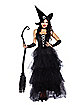 Adult Spellbound Witch Costume