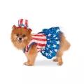 Patriotic Pooch Pet Costume at Spencer's