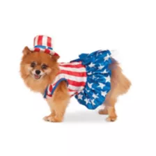 Patriotic Pooch Pet Costume at Spencer's