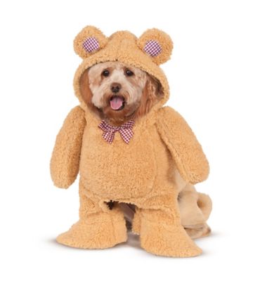 Dog in 2024 teddy bear suit