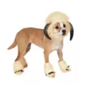 Dog Wampa Costume - Star Wars at Spirit Halloween