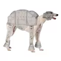 Dog AT-AT Costume - Star Wars at Spirit Halloween