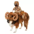 Pet Bantha Costume – Star Wars at Spirit Halloween