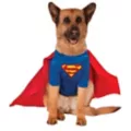 Big Dog Superman Costume - DC Comics at Spencer's