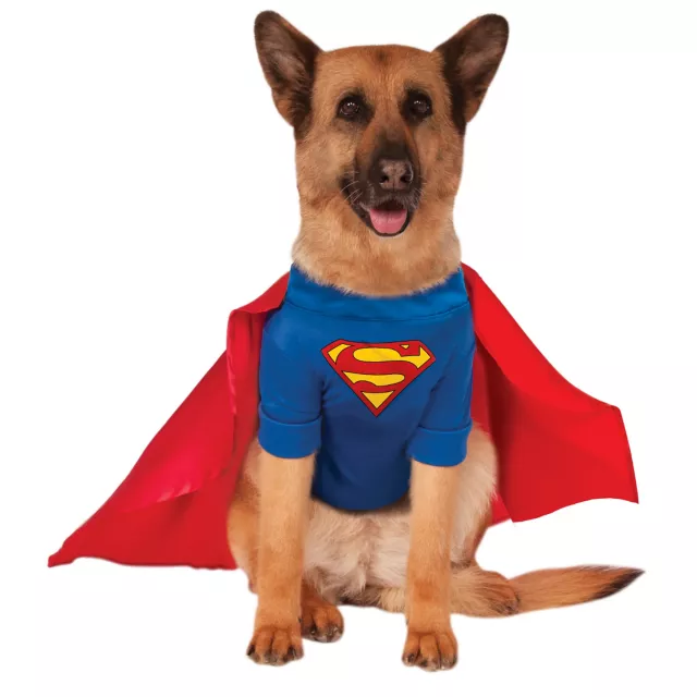 Big Dog Superman Costume Big Dog Superman Costume