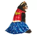 Big Dog Wonder Woman Costume - DC Comics at Spencer's