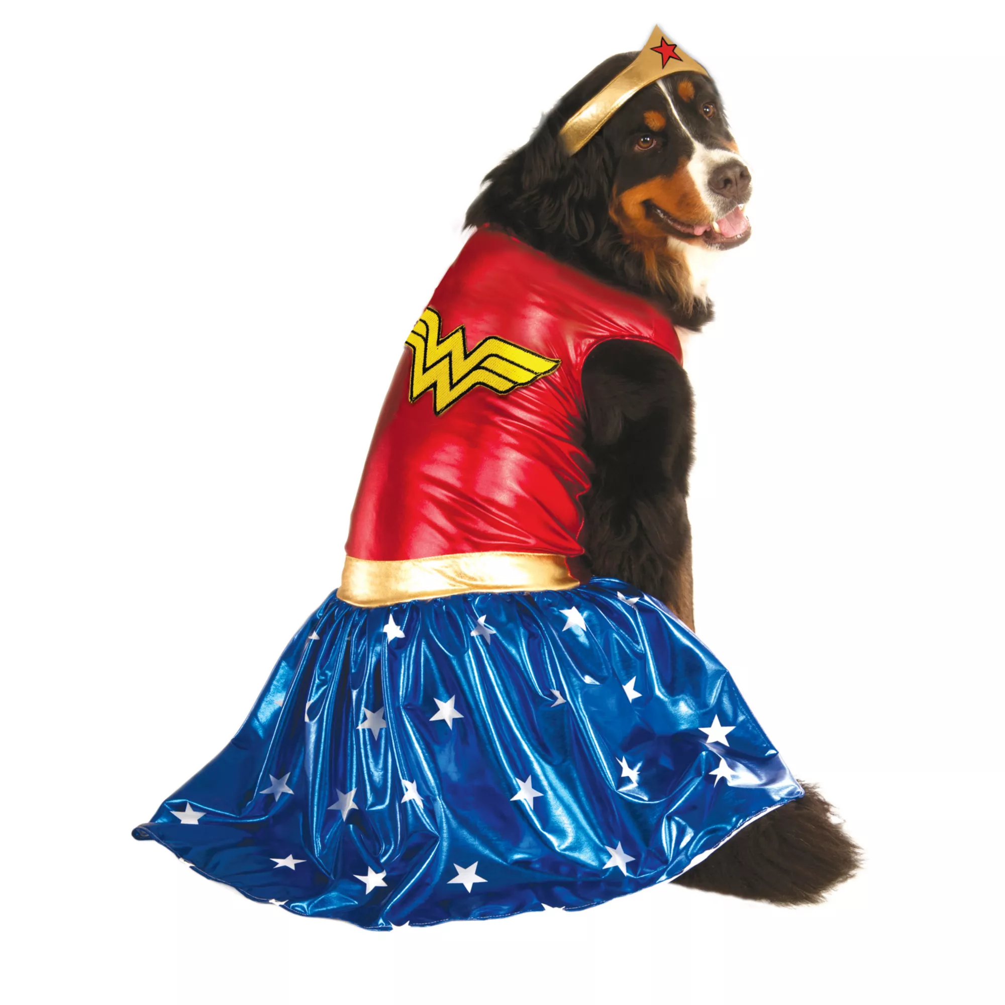 Big Dog Wonder Woman Costume - DC Comics at Spencer's