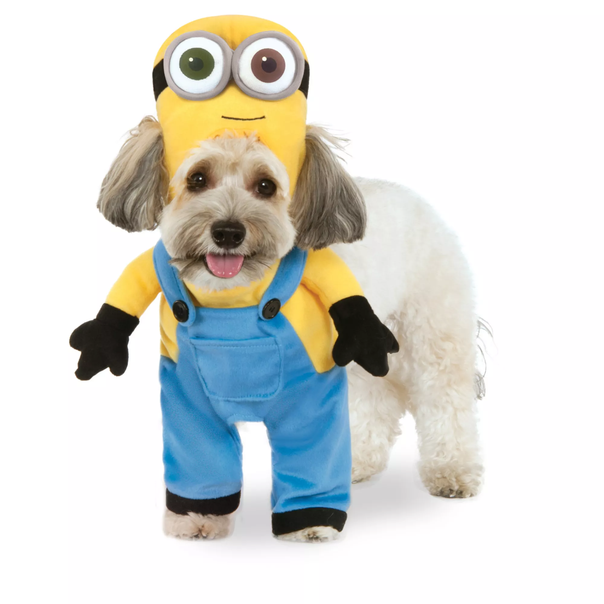 Bob Minion Dog Costume - Despicable Me at Spirit Halloween