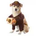 UPS Pal Dog Pet Costume at Spirit Halloween