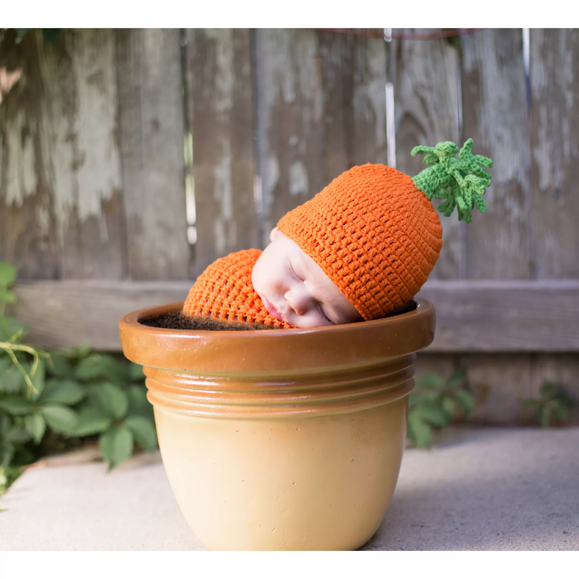 Baby Carrigan the Carrot Costume at Spencer's