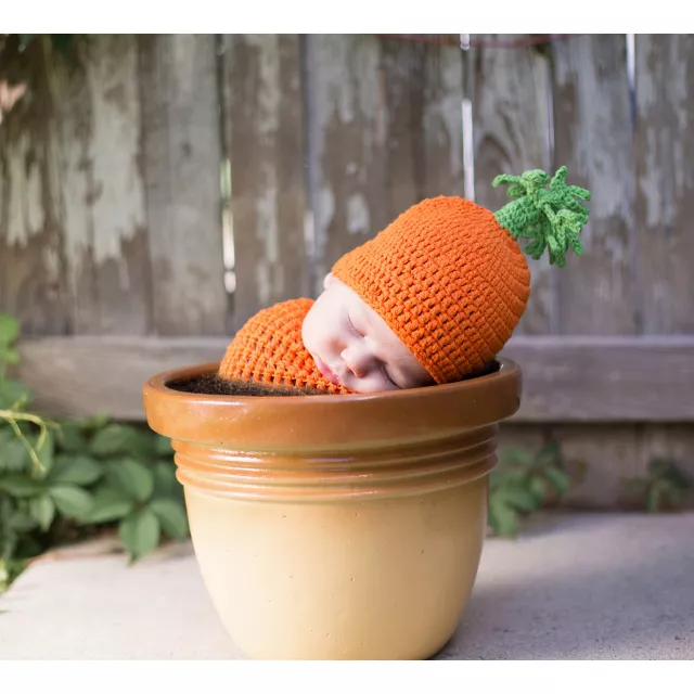 Baby Carrigan the Carrot Costume at Spencer's