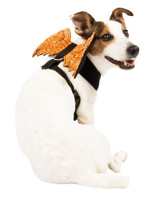 Orange Web Wings Pet Harness Spirithalloween