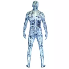 Arachnamania Skin Suit Costume at Spirit Halloween