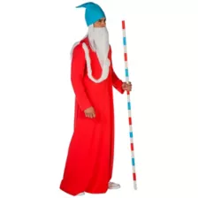 Adult Wizard Whitebeard Costume - Where's Waldo at Spirit Halloween