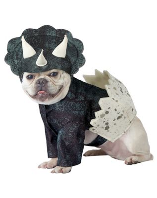 are dogs allowed in spirit halloween