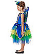 Kids Peacock Costume - The Signature Collection