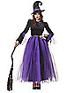 Adult Witch Costume Deluxe