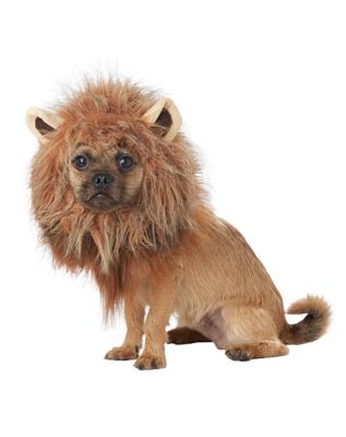 King of the Jungle Pet Costume