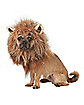 King of The Jungle Pet Costume