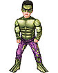 Toddler Hulk Muscle Costume - Marvel