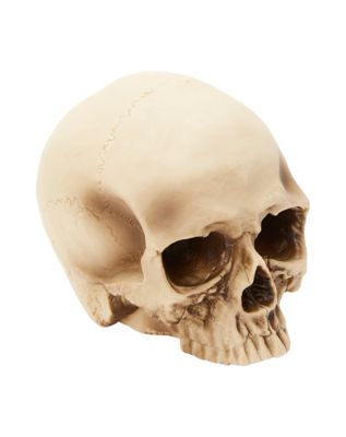 Jawless Skull Set - 3 Pack