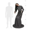 5 Ft 8 In The Widow Animatronic at Spencer's