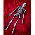 5.25 Ft Ossa Bones Comfy Curiosity at Spirit Halloween