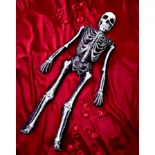 5.25 Ft Ossa Bones Comfy Curiosity at Spirit Halloween
