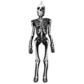 5.25 Ft Ossa Bones Comfy Curiosity at Spirit Halloween