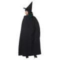 Adult Wicked Witch Costume The Signature Collection - The Wizard of Oz at Spirit Halloween