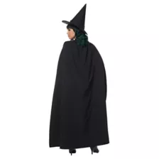 Adult Wicked Witch Costume The Signature Collection - The Wizard of Oz at Spirit Halloween
