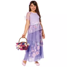 Isabela Dress Costume - Encanto at Spencer's