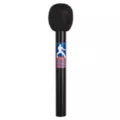 Elvis Microphone at Spirit Halloween