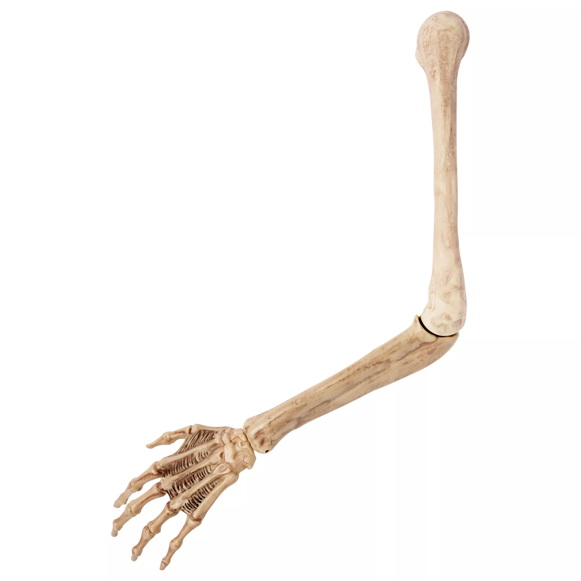 Skeleton Arm Prop - 2023 Spirit Hallows Cemetery at Spirit Halloween
