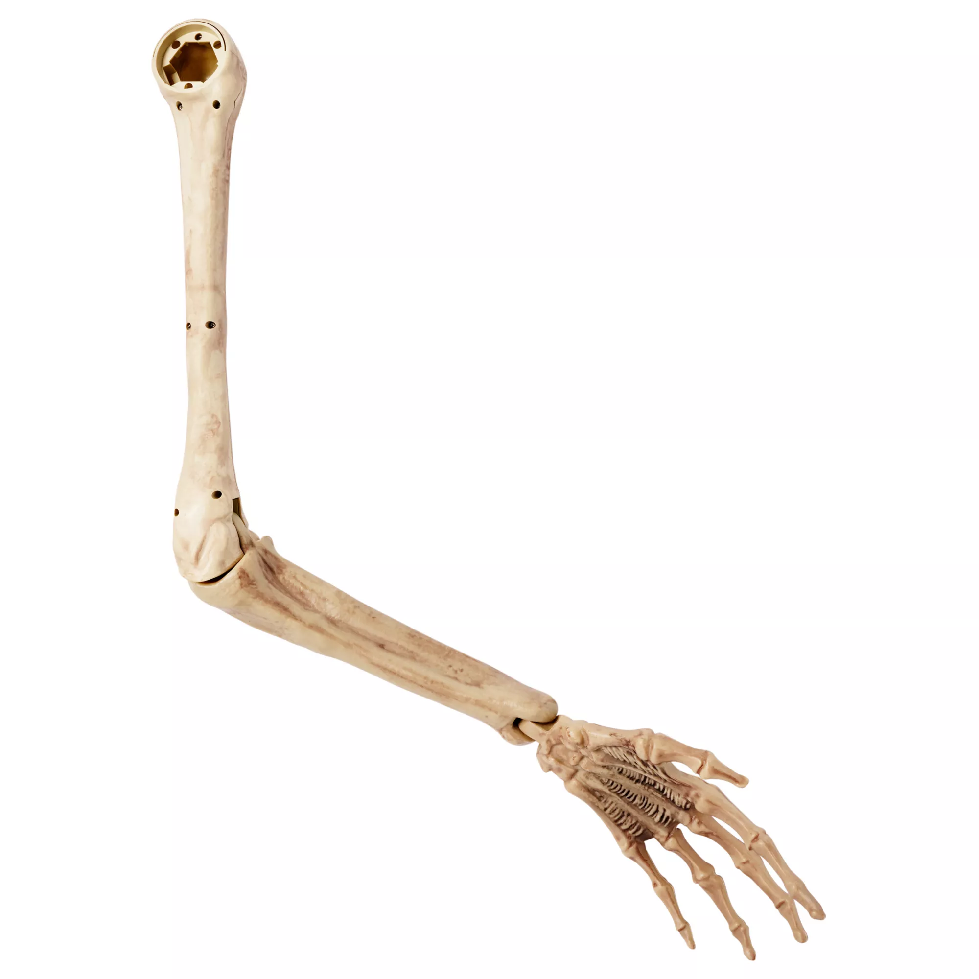 Skeleton Arm Prop - 2023 Spirit Hallows Cemetery at Spirit Halloween