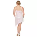 Adult Darling Flapper Plus Size Dress Costume at Spencer's