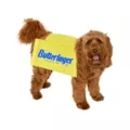 Butterfinger Pet Costume at Spirit Halloween
